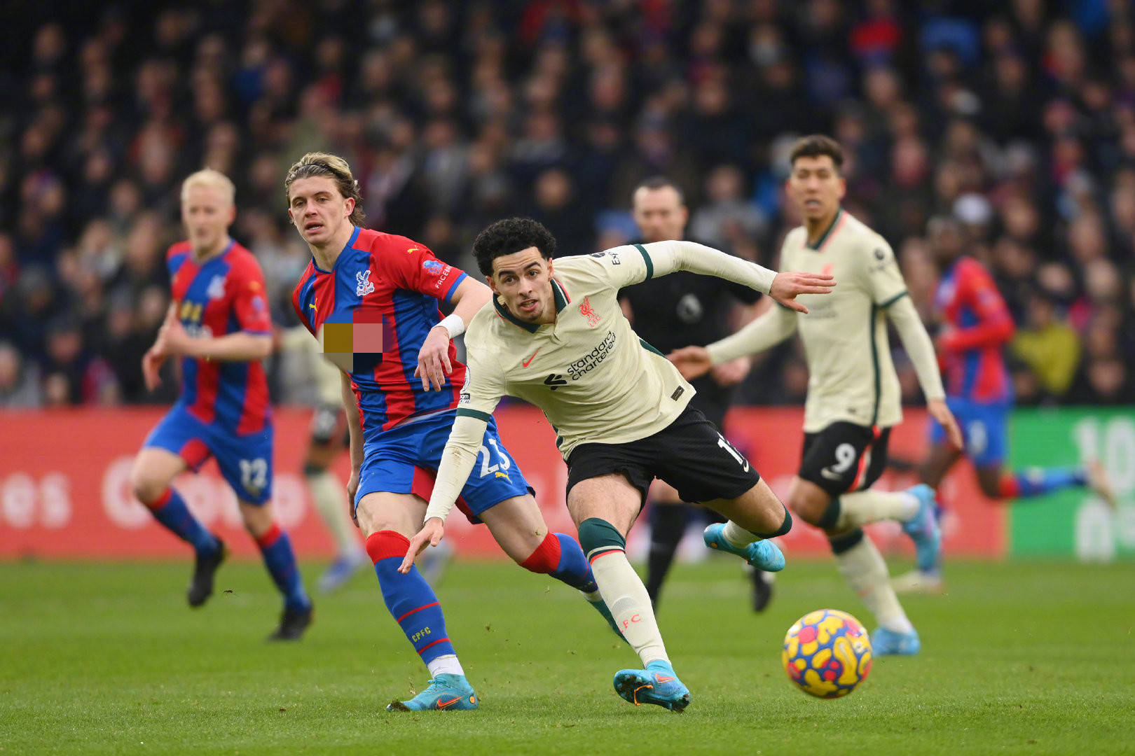 终于在绿茵 终于在绿茵